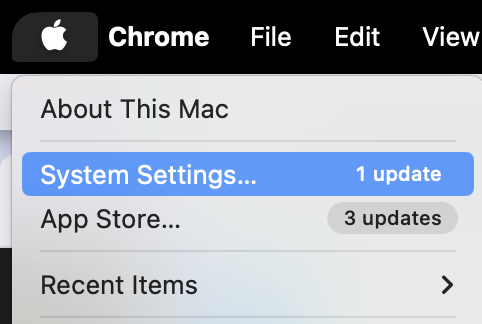 Screenshot 2024 03 05 at 9.47.55 AM